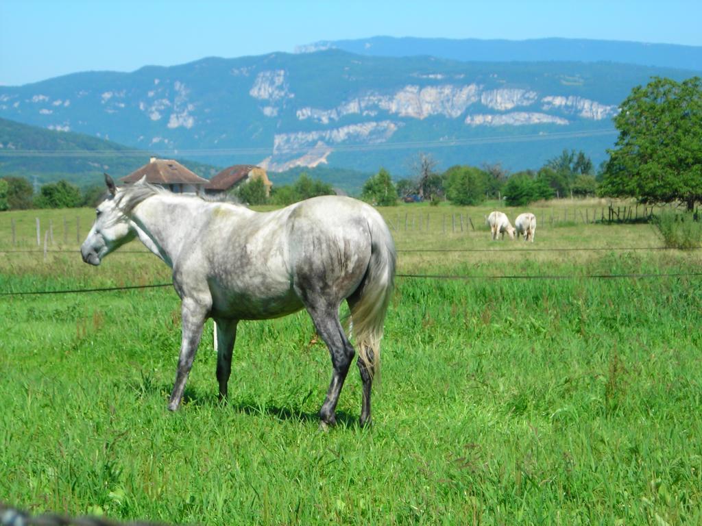 La Bardeliere Βίλα Corbelin Εξωτερικό φωτογραφία